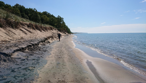 A person walks along a sandy beach beside calm blue water and green trees under a clear sky.
