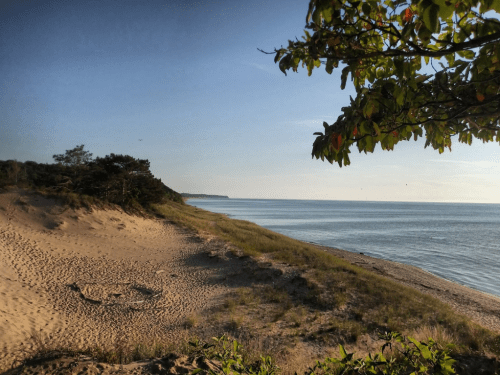 A serene beach scene with sandy shores, gentle waves, and lush greenery under a clear blue sky.