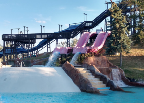 Two pink water slides descend into a blue pool, surrounded by trees and a wooden structure in the background.