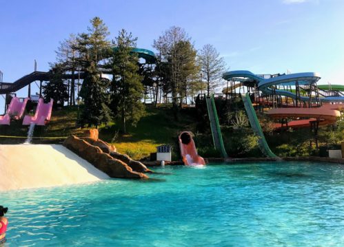 Colorful water slides tower over a clear blue pool, surrounded by trees under a bright sky.