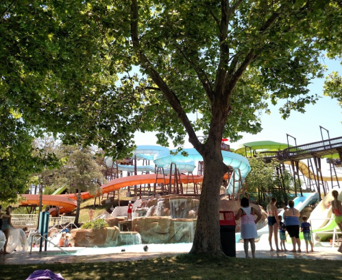 A water park scene with colorful slides, people enjoying the water, and a large tree providing shade.
