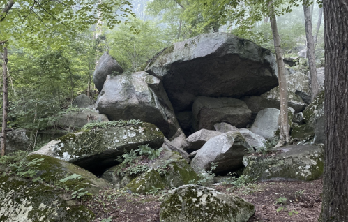 A cluster of large, moss-covered boulders surrounded by lush green trees in a misty forest.