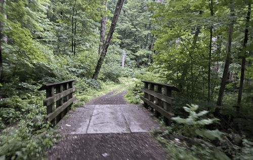 A wooden bridge spans a path through a lush, green forest with dense trees and foliage on either side.