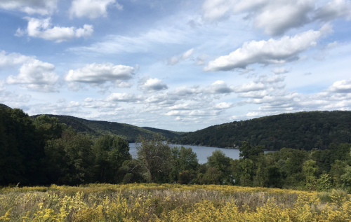 A scenic view of a lake surrounded by green hills and yellow wildflowers under a partly cloudy sky.