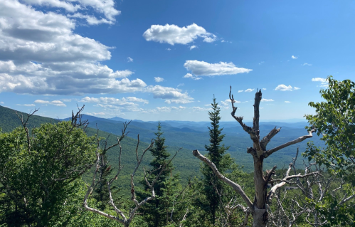 A scenic view of mountains and lush green trees under a blue sky with fluffy clouds.