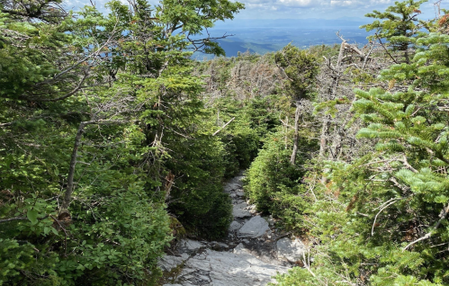 A rocky trail winds through dense greenery on a mountain, with distant hills visible in the background under a blue sky.