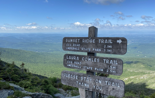 Trail signs at a mountain overlook, with directions to Sunset Ridge Trail and Laura Cowles Trail, surrounded by lush greenery.