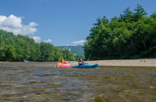 Two people kayaking on a river surrounded by lush green trees and a clear blue sky.