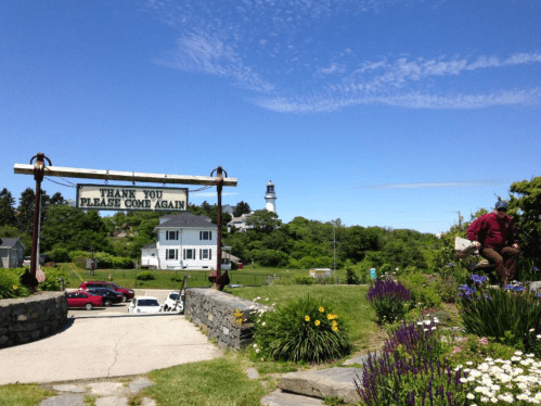 A scenic view featuring a sign that says "Thank You Please Come Again," with a lighthouse in the background and blooming flowers.