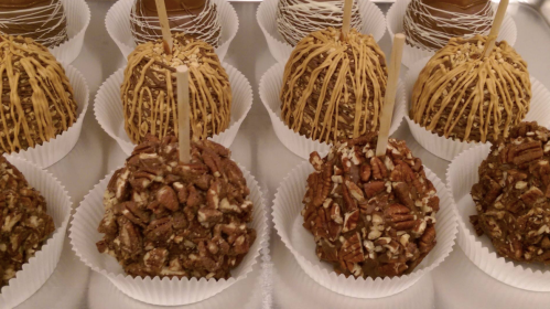 A variety of chocolate-covered caramel apples topped with nuts and drizzles, displayed in white paper cups.