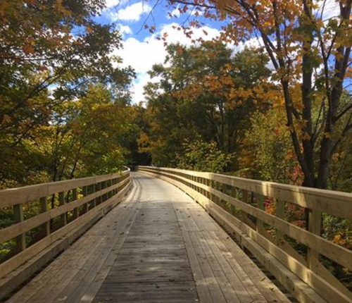 A wooden bridge winding through a forest with colorful autumn foliage under a blue sky.