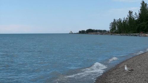 A serene lakeshore scene with gentle waves, a distant lighthouse, and a seagull on the pebbly beach.