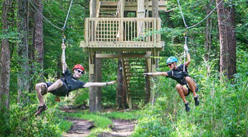 Two people ziplining through a forest, reaching out to each other, with a wooden platform visible in the background.