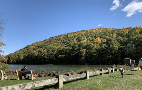 A serene lakeside scene with a person sitting on a bench and a child playing, surrounded by colorful autumn foliage.