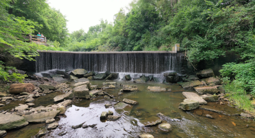 A serene waterfall cascades over a stone dam, surrounded by lush greenery and rocky riverbed.