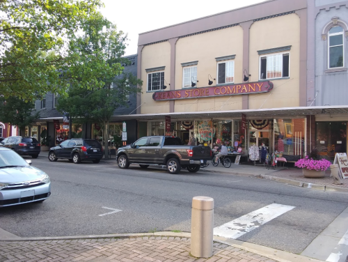 A street view of a small town with shops, parked cars, and colorful flower displays outside the stores.