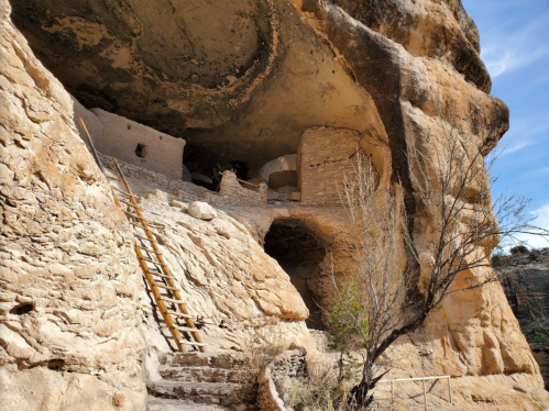 Ancient cliff dwellings with a wooden ladder, surrounded by rocky terrain and sparse vegetation under a clear blue sky.