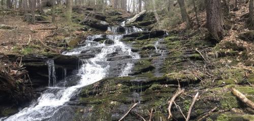 A serene waterfall cascading over moss-covered rocks in a lush forest setting.