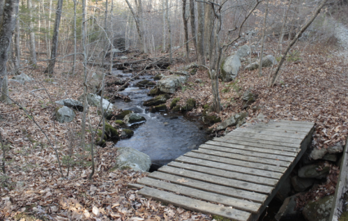 A wooden bridge crosses a small stream surrounded by trees and fallen leaves in a serene forest setting.