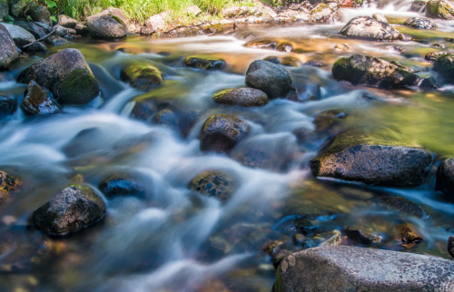 A serene stream flows over smooth stones, surrounded by lush greenery and gentle ripples in the water.