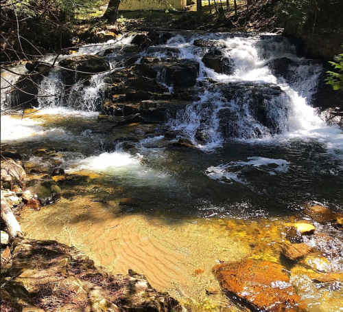 A serene waterfall cascades over rocks into a clear stream, surrounded by lush greenery and dappled sunlight.