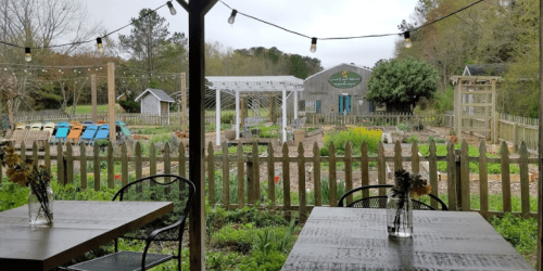 A garden with a wooden fence, tables in the foreground, and a rustic building in the background, surrounded by greenery.