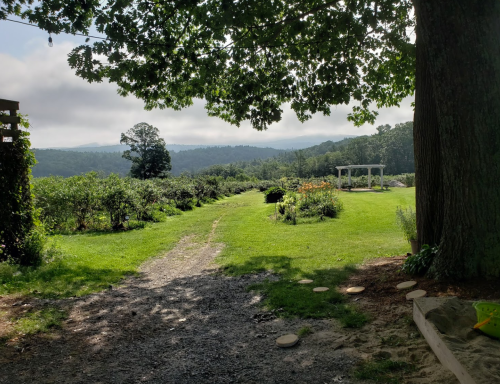 A scenic view of a grassy path leading through a garden with trees and mountains in the background under a cloudy sky.