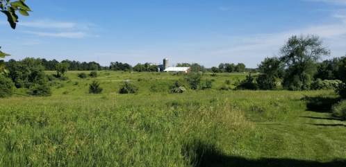 A lush green landscape with a barn and silo in the distance under a clear blue sky.