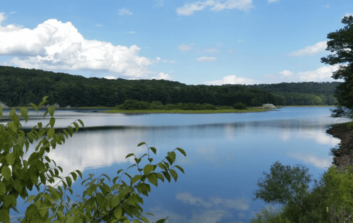 A serene lake surrounded by lush green trees under a blue sky with fluffy clouds, reflecting on the water's surface.