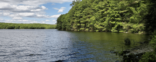 A serene lake surrounded by lush green trees under a partly cloudy sky.