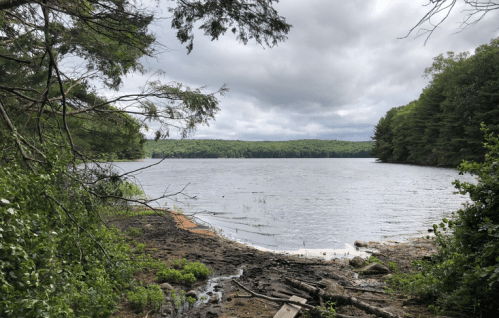 A serene lake surrounded by trees under a cloudy sky, with a rocky shore and gentle waves lapping at the edge.