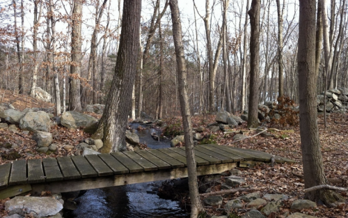 A wooden bridge crosses a small stream in a forest with bare trees and scattered rocks, surrounded by autumn leaves.