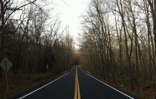 A winding road lined with bare trees, leading into a distant, wooded area under a clear sky.