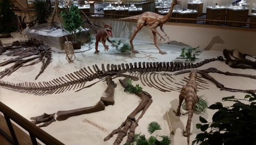 Dinosaur skeletons displayed in a museum setting, surrounded by plants and other prehistoric models.