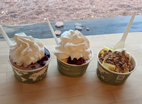 Three cups of frozen yogurt topped with whipped cream, one with berries, one with granola, and one with fruit.