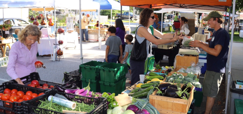 A bustling farmers market with vendors and customers, showcasing fresh produce and vibrant stalls under colorful tents.