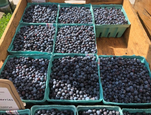 A display of fresh blueberries in green containers at a market, with price tags visible.
