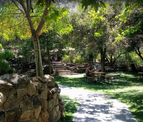 A serene park scene with green grass, trees, and a person sitting at a table, surrounded by nature.