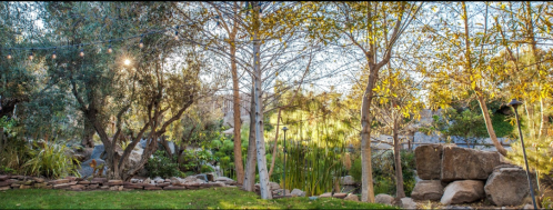 A serene garden scene with trees, rocks, and soft lighting, creating a peaceful outdoor atmosphere.