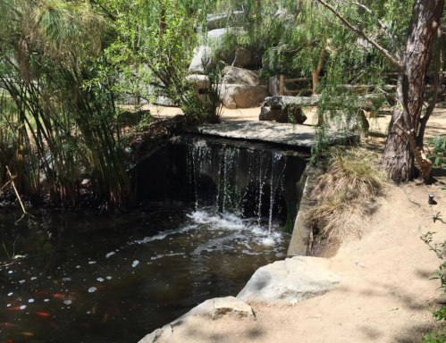 A serene pond with a small waterfall, surrounded by lush greenery and rocks. Koi fish swim in the water.
