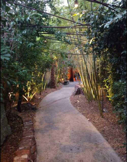 A winding path through a lush, green garden with bamboo and soft lighting.