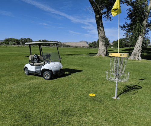 A white golf cart parked on green grass near a disc golf basket with a yellow flag and a disc on the ground.