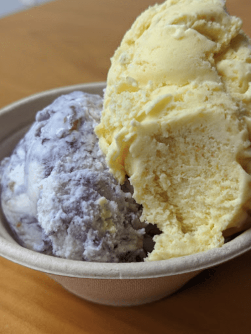 A bowl containing two scoops of ice cream: one yellow and one purple with swirls.