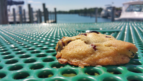 A chocolate chip cookie rests on a green perforated table, with a marina and boats in the background under a clear sky.