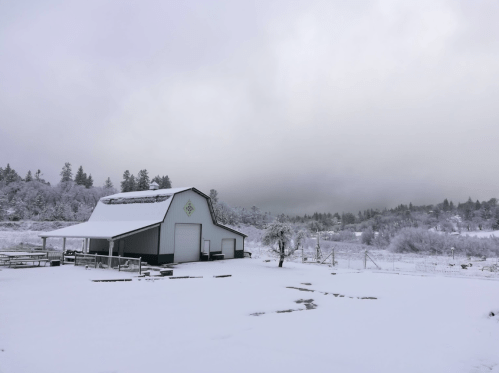 A snowy landscape featuring a barn surrounded by trees and a cloudy sky.