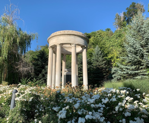 A classical stone gazebo surrounded by lush greenery and blooming white roses under a clear blue sky.