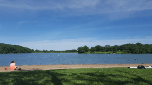 A serene lake scene with a person sitting on the shore, surrounded by green trees and a clear blue sky.