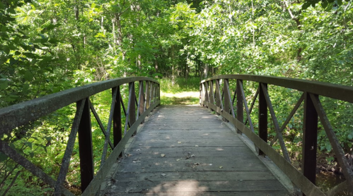 A wooden bridge with a metal frame spans a lush, green forest path surrounded by trees and foliage.