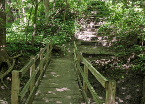 A wooden bridge leads to a set of stairs surrounded by lush greenery in a forested area.