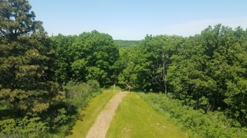 A winding dirt path through lush green trees under a clear blue sky.